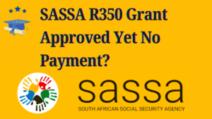 Not Receiving Your SASSA R350 Payment? Here’s What You Need to Know 