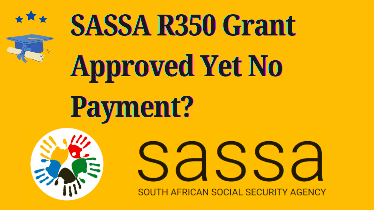 Not Receiving Your SASSA R350 Payment? Here’s What You Need to Know